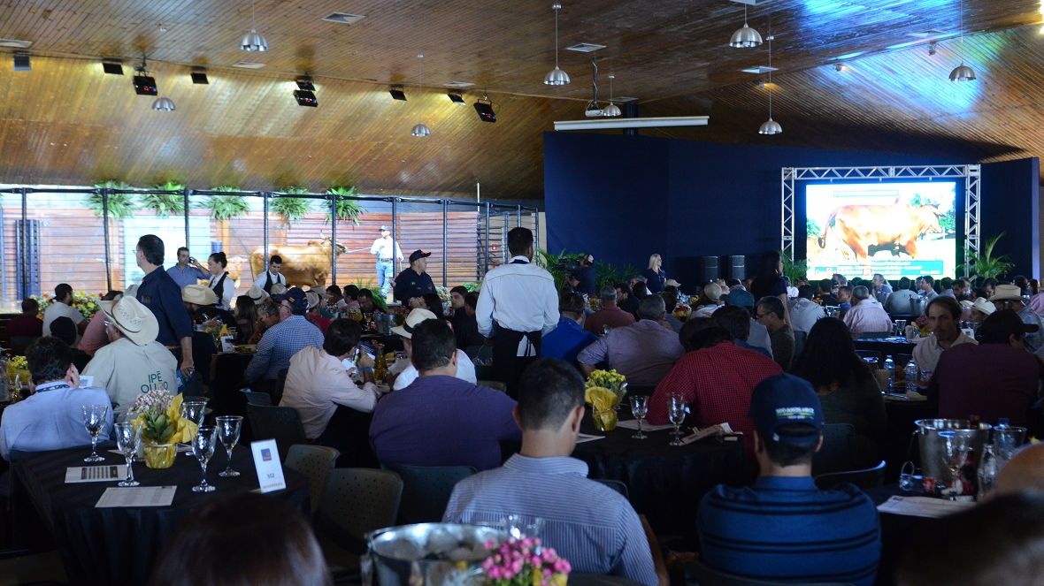 Grade comercial da ExpoZebu 2022 já conta com mais de 40 leilões e shoppings