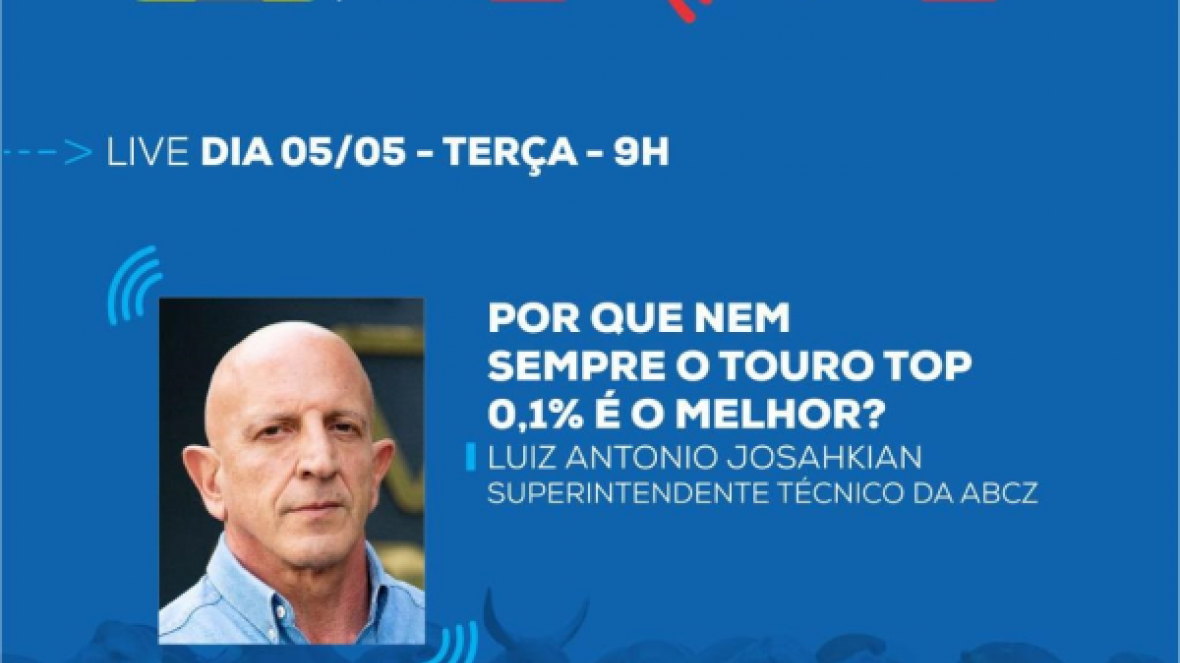 Em live, superintendente da ABCZ falará sobre como usar ranqueamento dos programas de melhoramento 