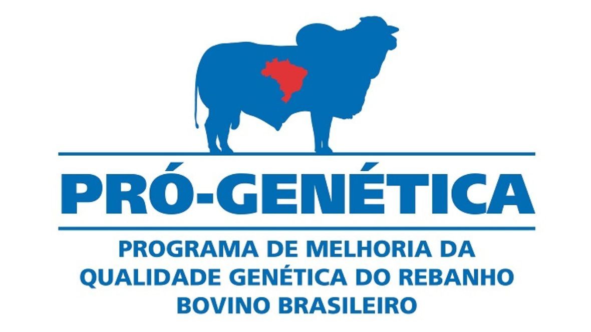 Confira as datas e locais das Feiras de Touros Pró-Genética da segunda quinzena de agosto