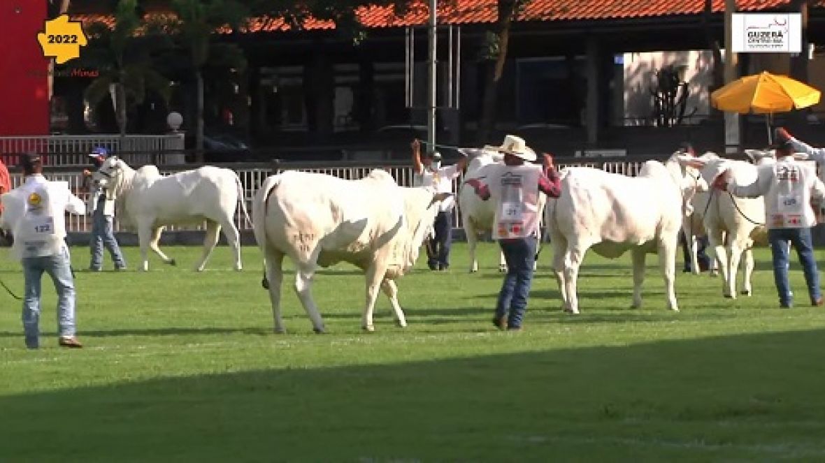 ABCZ TV retransmite julgamentos da Expoinel Minas