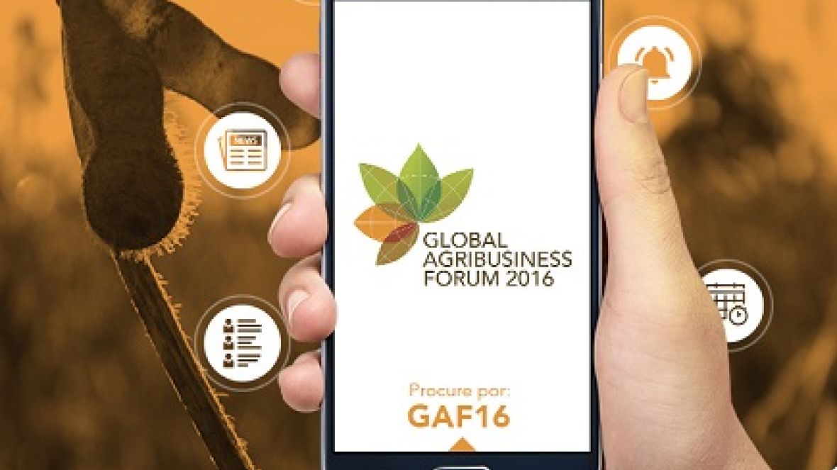 GAF 2016 será transmitido pelo Centro de Referência da Pecuária Brasileira - Zebu