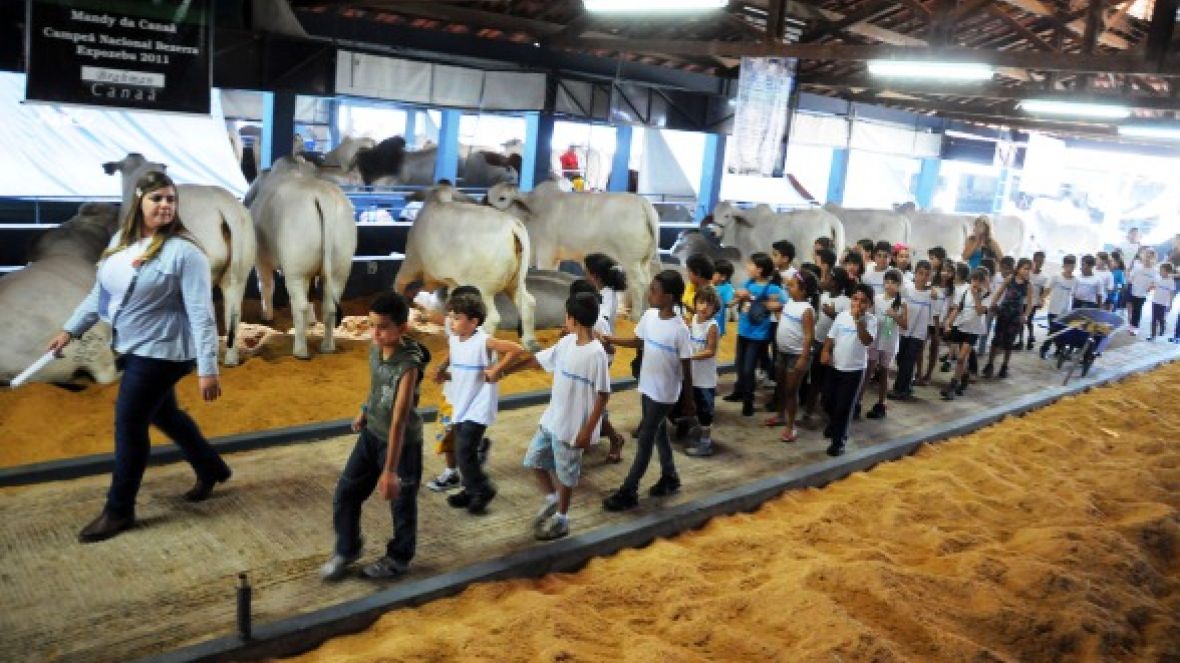 Caça ao tesouro é uma das atrações da ExpoZebu para estudantes 