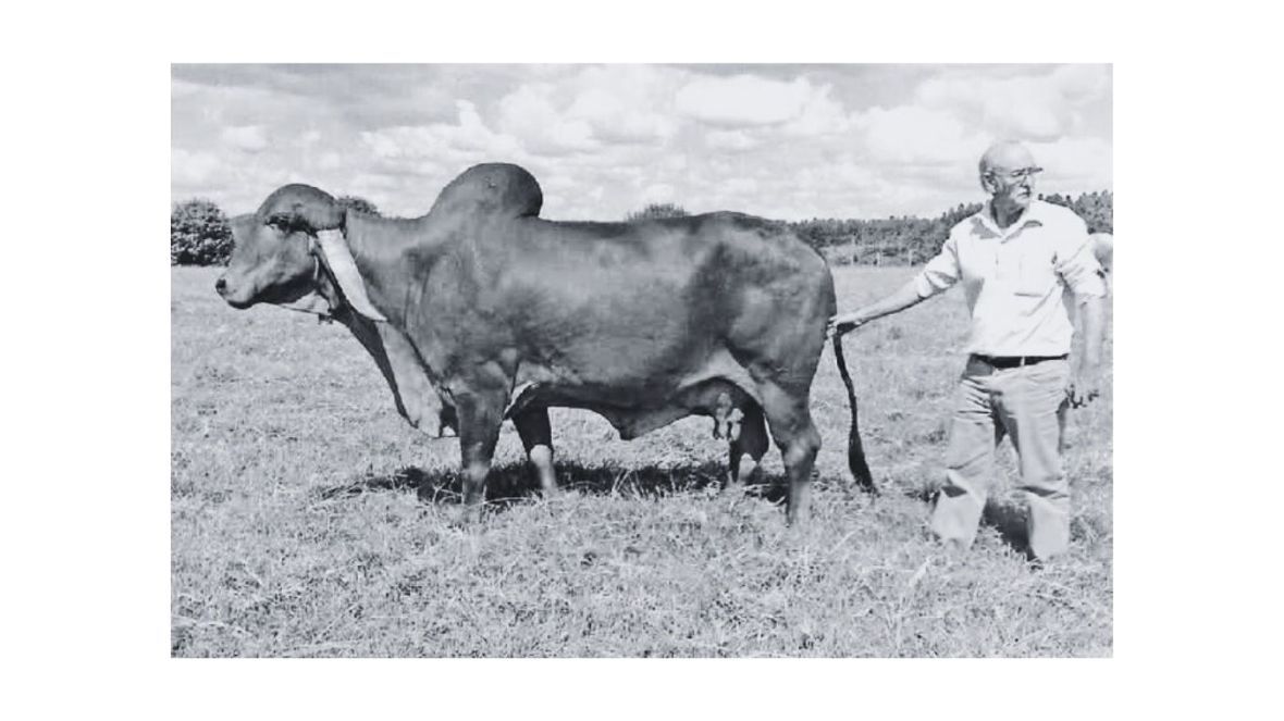 ABCZ lamenta falecimento de Wagney Azevedo Leão