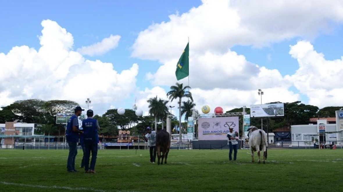 ExpoZebu 2022: Prazo de inscrições com maior desconto termina no próximo dia 4