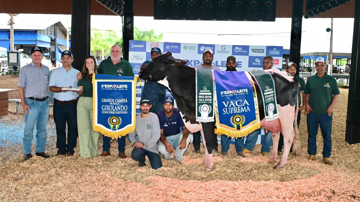 Eleita a Vaca Suprema da 3ª ExpoLeite, em Uberaba