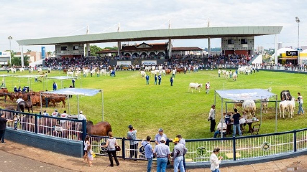 ExpoZebu 2020 já tem data definida