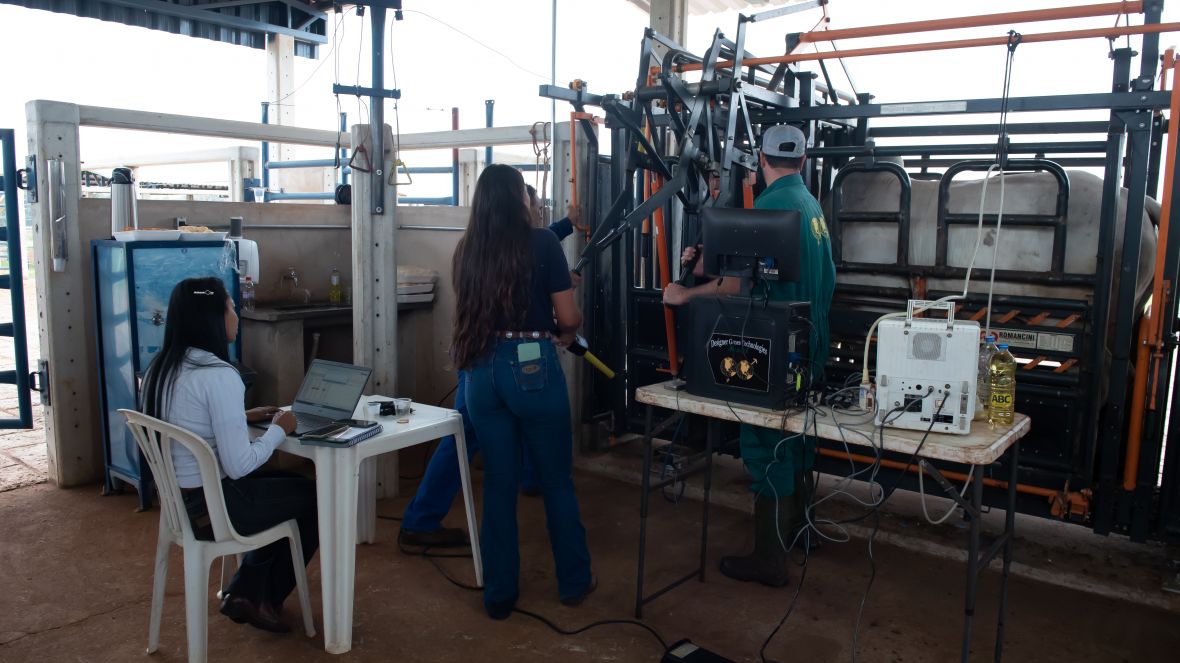 ABCZ divulga resultados da etapa de Eficiência Alimentar do Programa “Zebu: Carne de Qualidade”