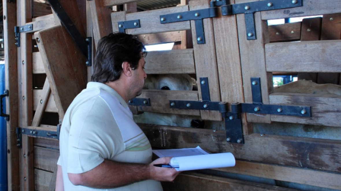 PGPs avaliam mais de 10 mil animais em 2014