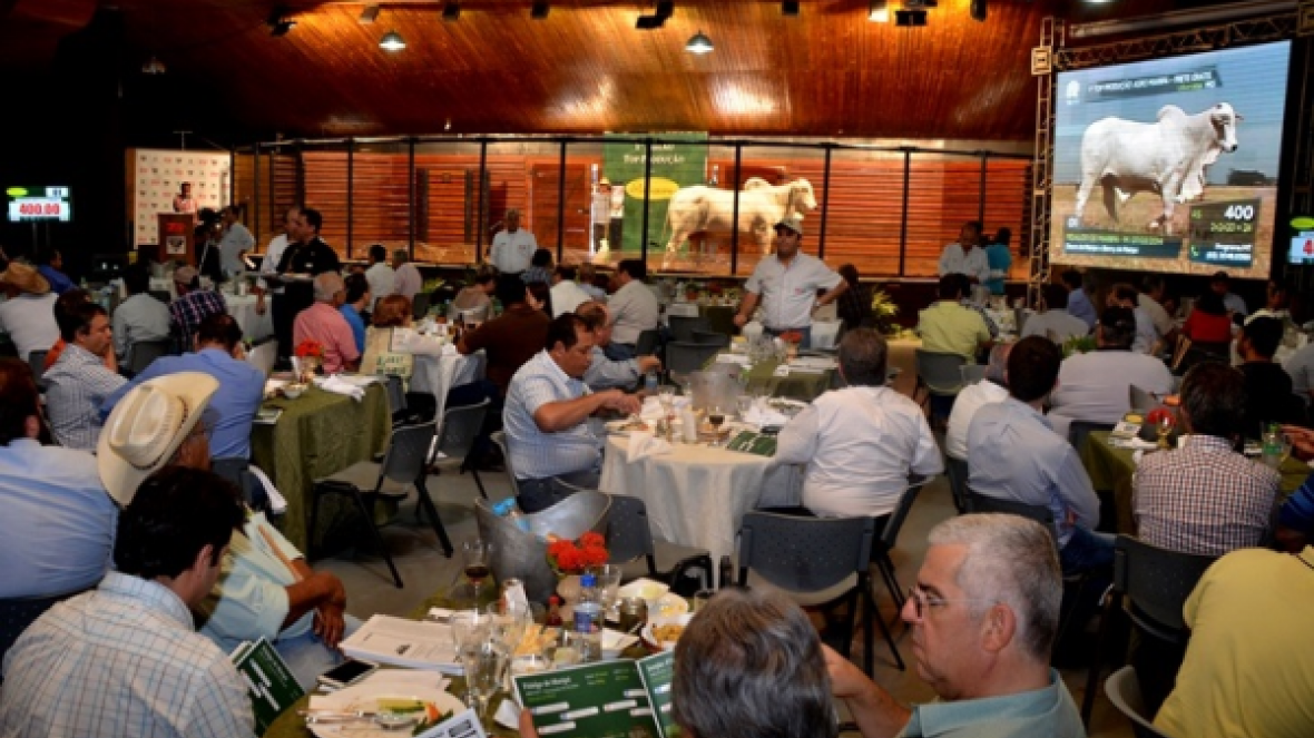 ExpoGenética 2016: Leilões superam R$9,4 milhões