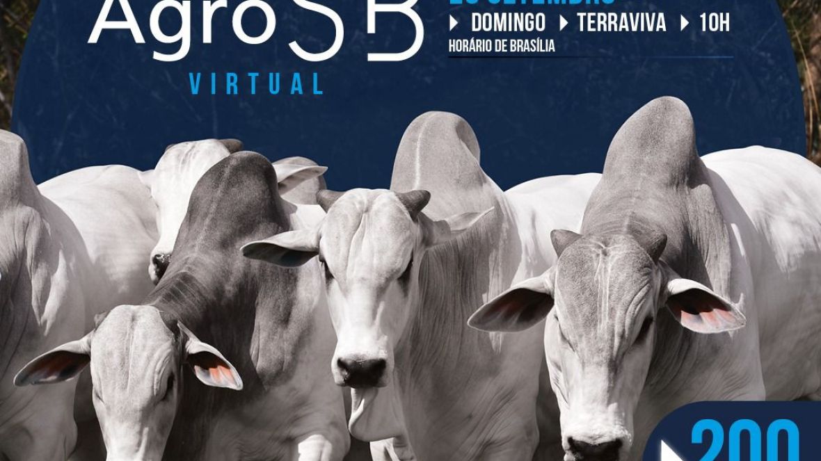 Leilão Virtual de Touros AgroSB será realizado neste domingo (26)