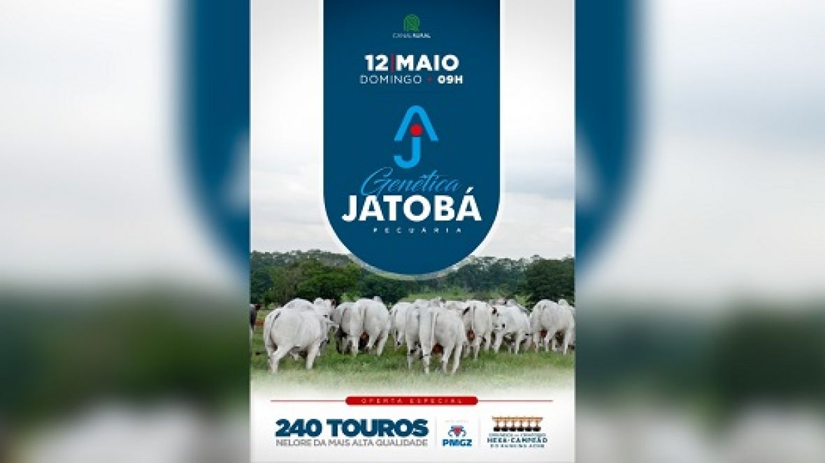 Leilão Virtual Genética Jatobá Pecuária oferecerá reprodutores com genética comprovada