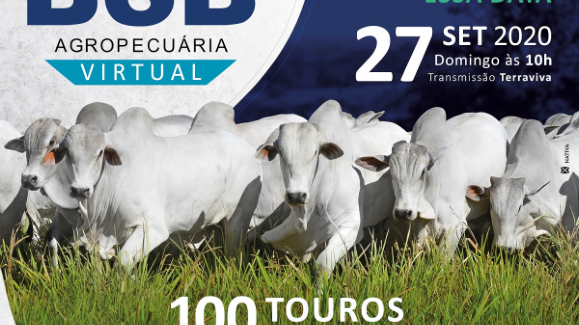 ?7º Leilão virtual BSB Agropecuária? vai ofertar cerca de 100 animais no próximo domingo (27)