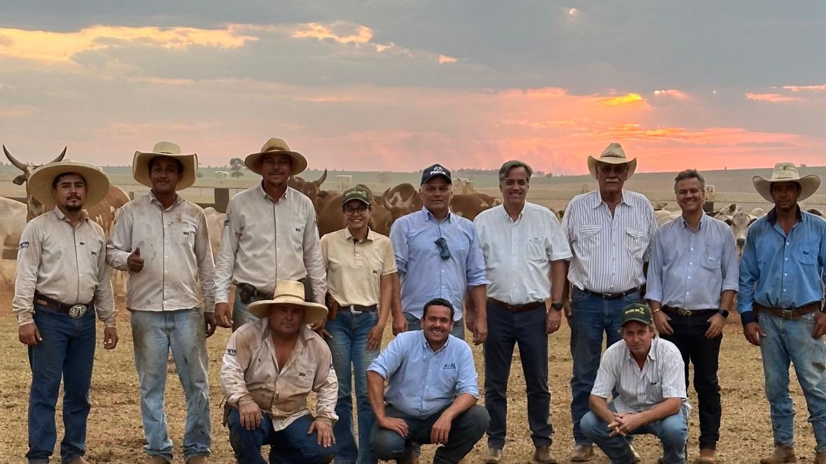 ABCZ acompanha bons resultados do PMGZ em propriedades do Nelore BoiZ, em Angélica (MS)