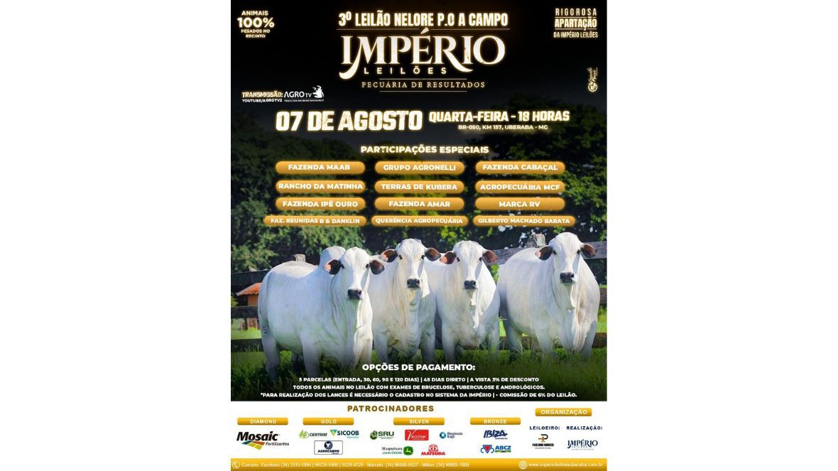 3º Leilão Nelore PO a Campo - Império Leilões acontece no próximo dia 7