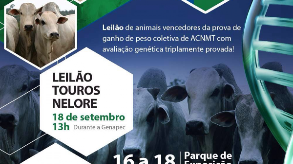 Técnico da ABCZ fará palestra em Cuiabá sobre seleção de fêmeas