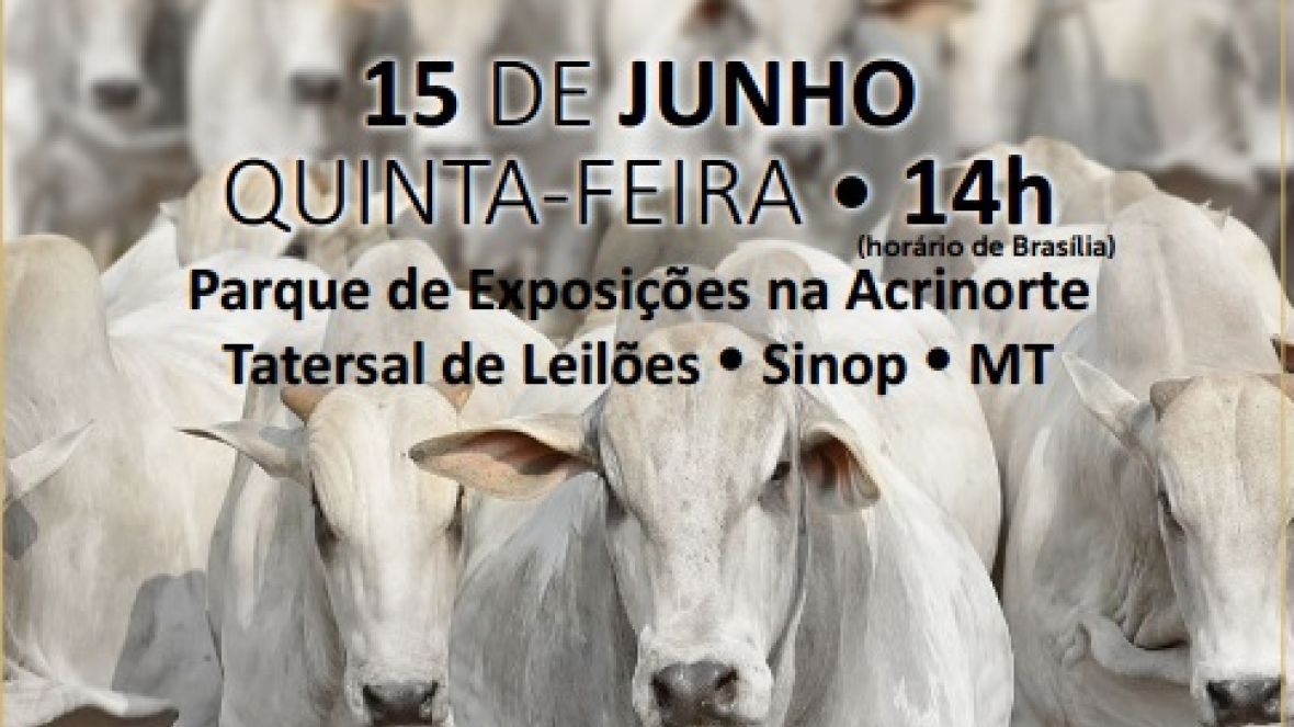 Leilão de Touros DGF Agropecuária será dia 15 de junho