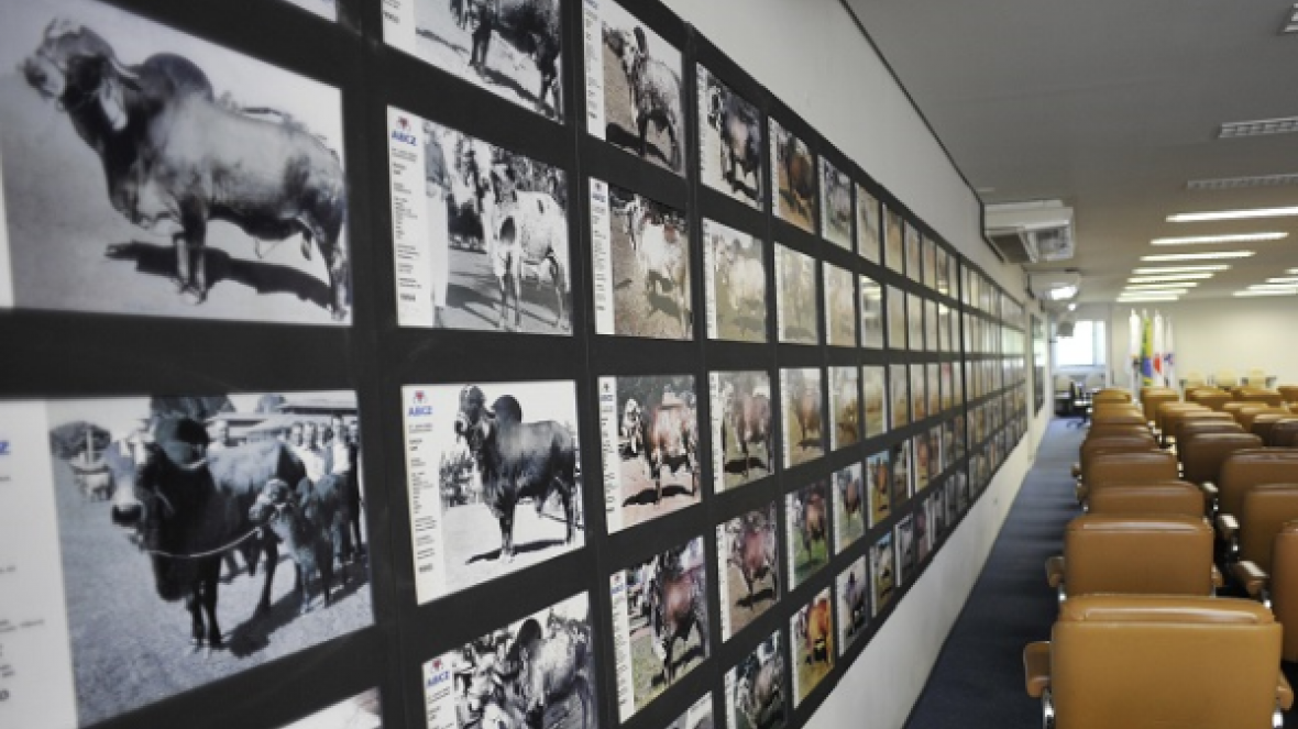 Primeiro fotógrafo da ABCZ será homenageado