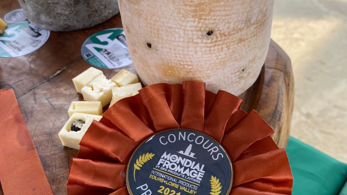 Criadores de Gir são destaque no maior concurso de queijos do mundo