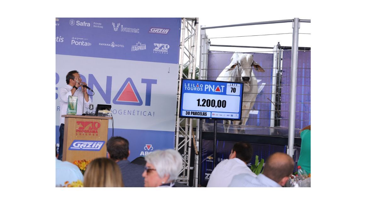 Parceria entre ABCZ e Programa Leilões movimenta mais uma edição do Leilão PNAT