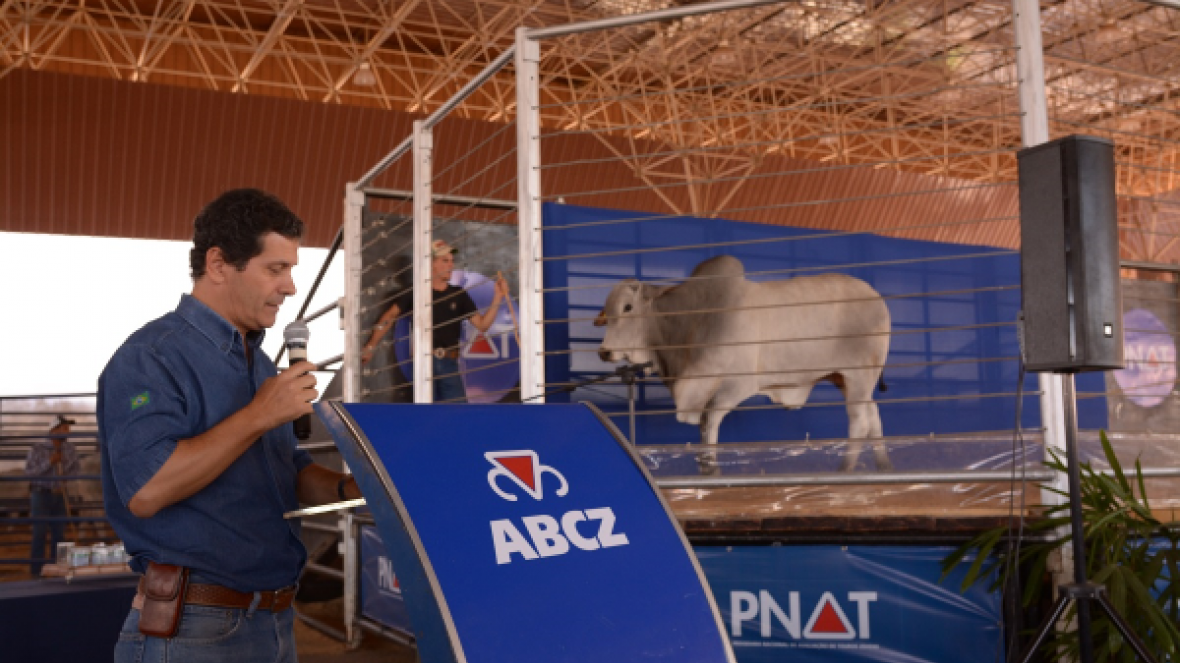 PNAT 2018 vai contar com leilão de touros participantes