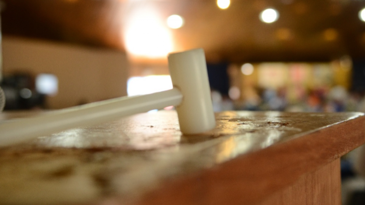 ExpoZebu 2018 já conta com 24 leilões e três shoppings