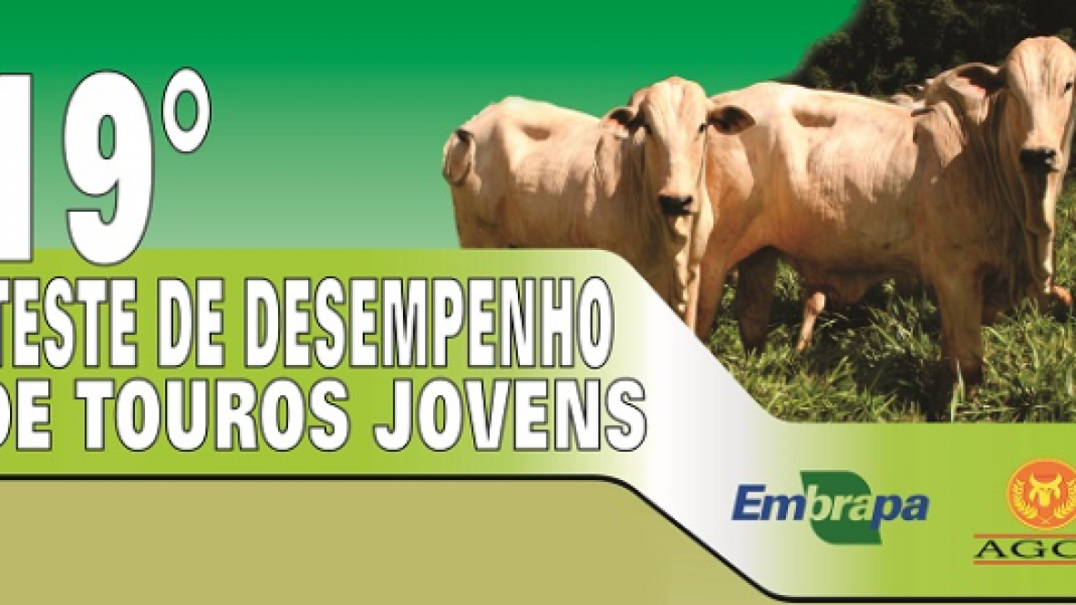 Prazo final para inscrições no Teste de Touros Jovens da Embrapa/AGCZ