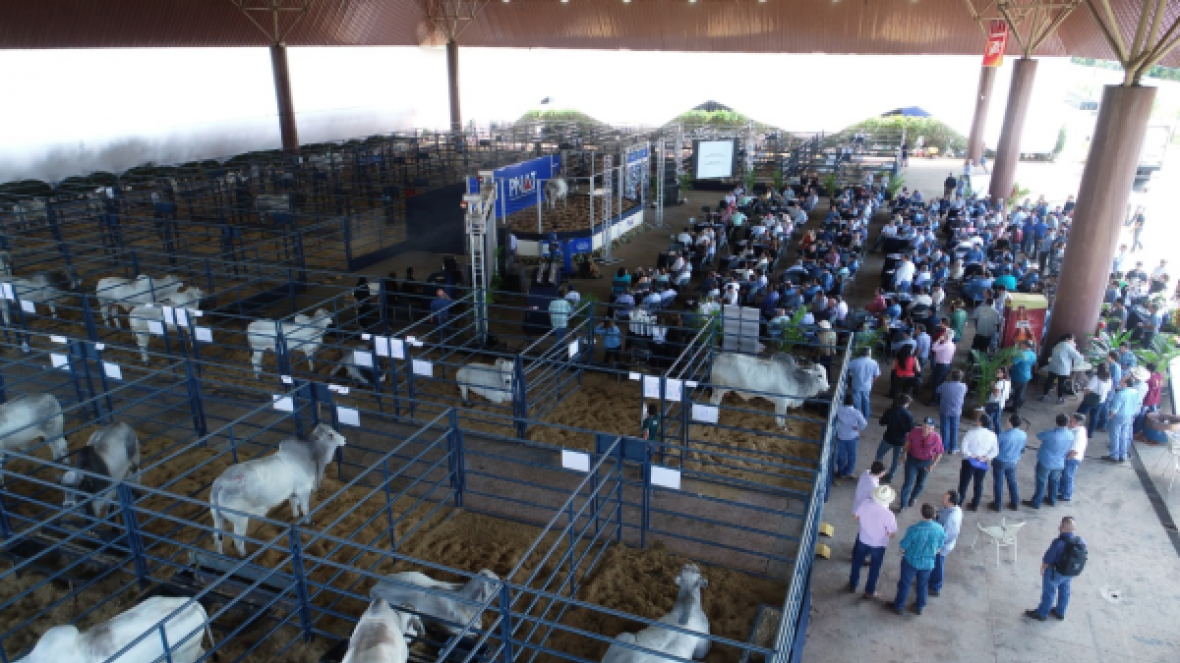 ABCZ divulga resultado do PNAT 2018