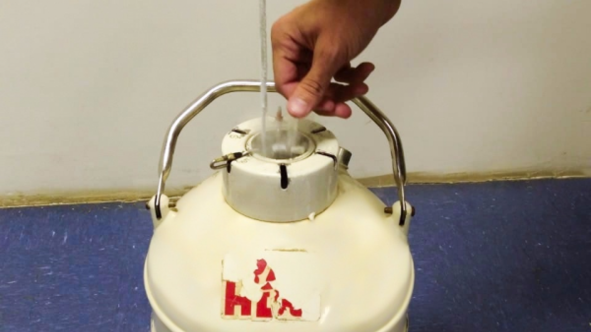 Seleção VRJO doa material genético para o Projeto Genômica ABCZ