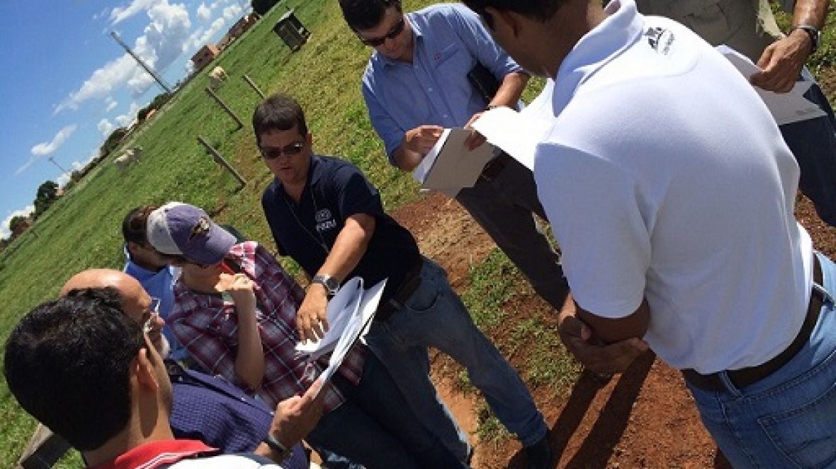 Estrangeiros visitam FAZU para ver pesquisa sobre brachiaria hibrida