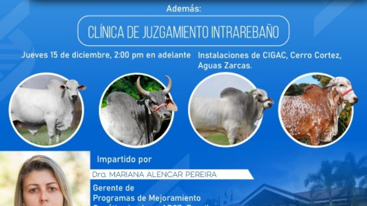 Gerente do PMGZ Leite ministra palestra em seminário internacional sobre a evolução das raças zebuínas leiteiras