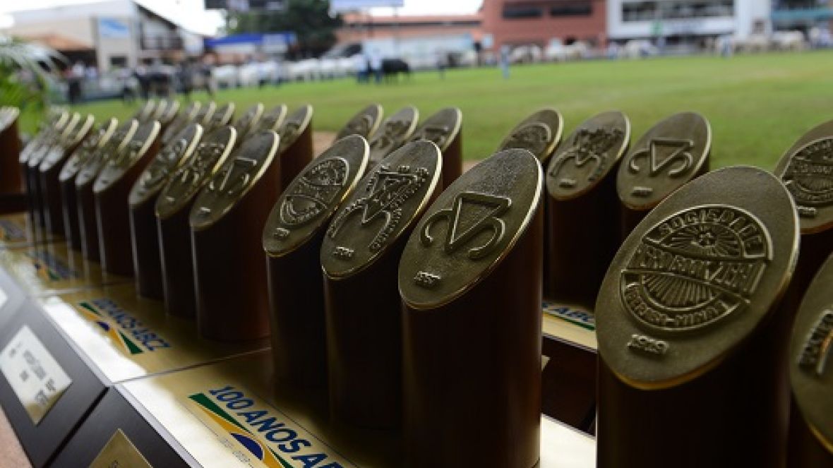 Material genético de touros Grandes Campeões da ExpoZebu 2019 já foi colhido para PMGZ Genômica