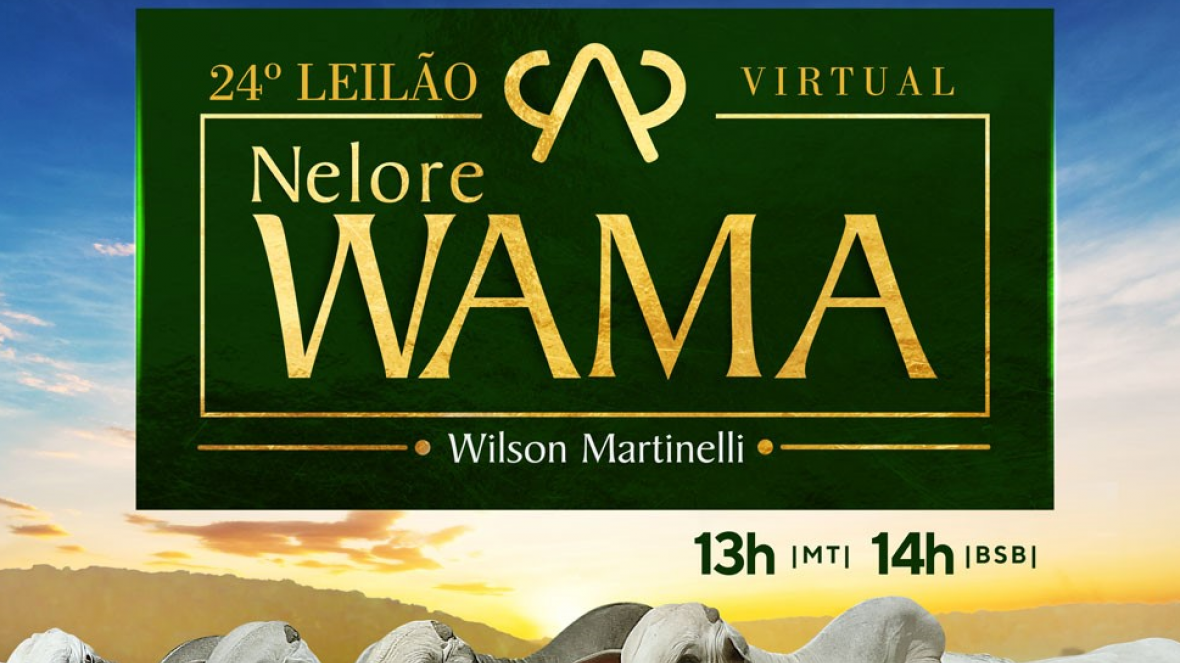 Faltam 5 dias para o “24º Leilão Virtual Nelore Wama – Reprodutores”    