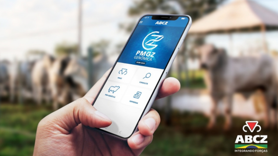 Gerente do Pró-Genética se reúne com equipe do BB para apresentar nova ferramenta do programa