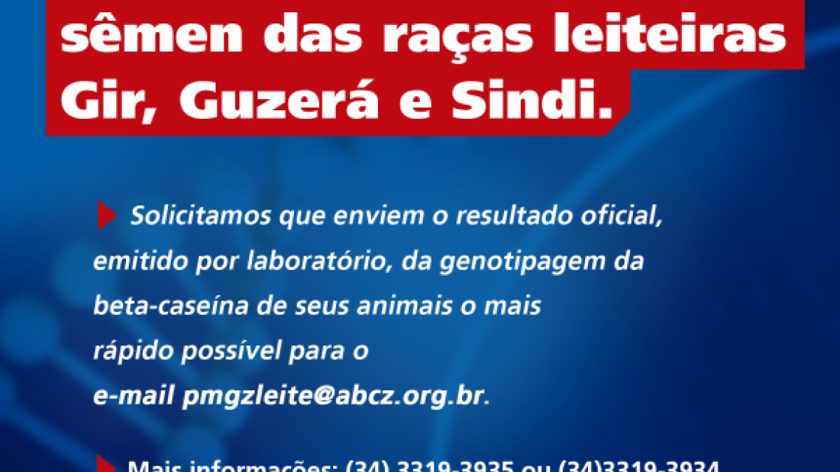 Proprietários de touros devem enviar resultado de genotipagem A2 para ABCZ