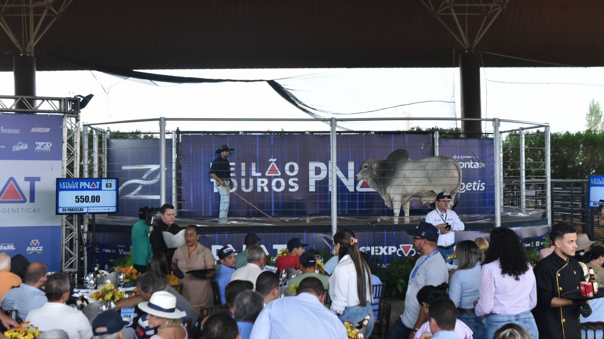 17ª ExpoGenética já tem 23 leilões e três shoppings de animais confirmados