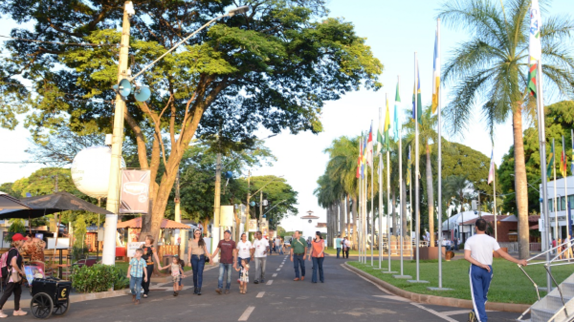 Quinta-feira (02) na ExpoZebu será marcada por primeiros registros da raça Punganur