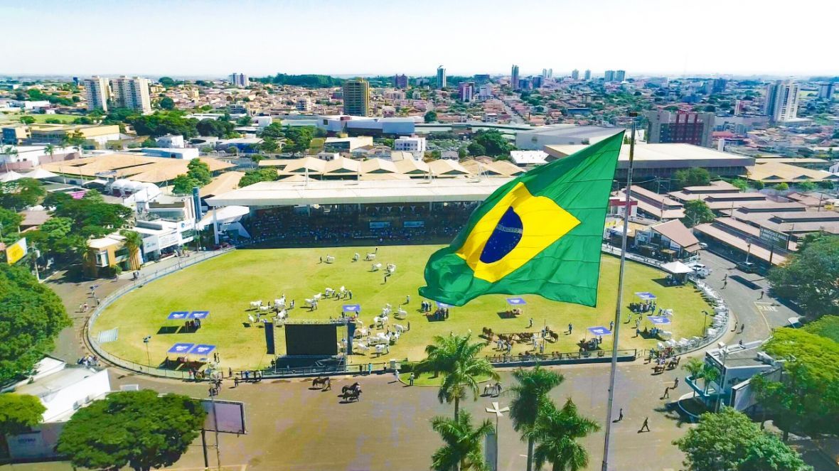 89ª ExpoZebu: Inscrições de animais começam na próxima segunda-feira (29)