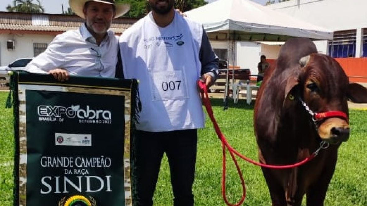 Touro PNAT 2022 se consagra Grande Campeão na EXPOABRA