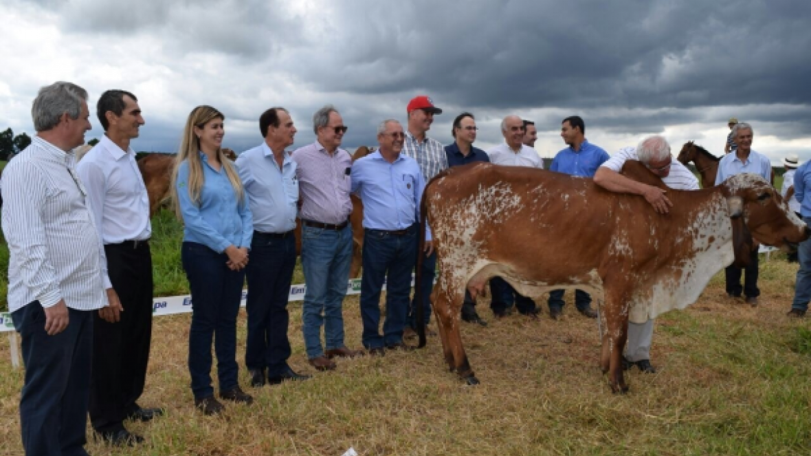ABCZ participa de reunião técnica sobre produção de leite a pasto