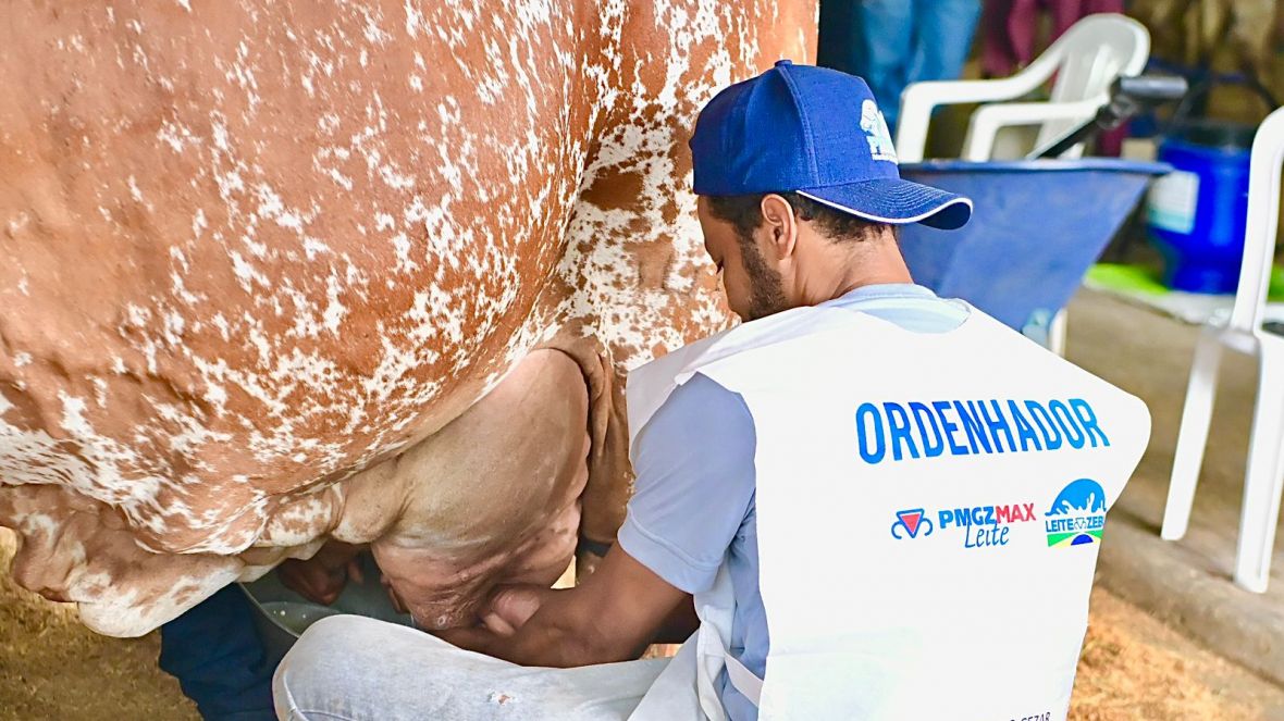 3ª ExpoLeite: disputa acirrada marca início do Concurso Leiteiro