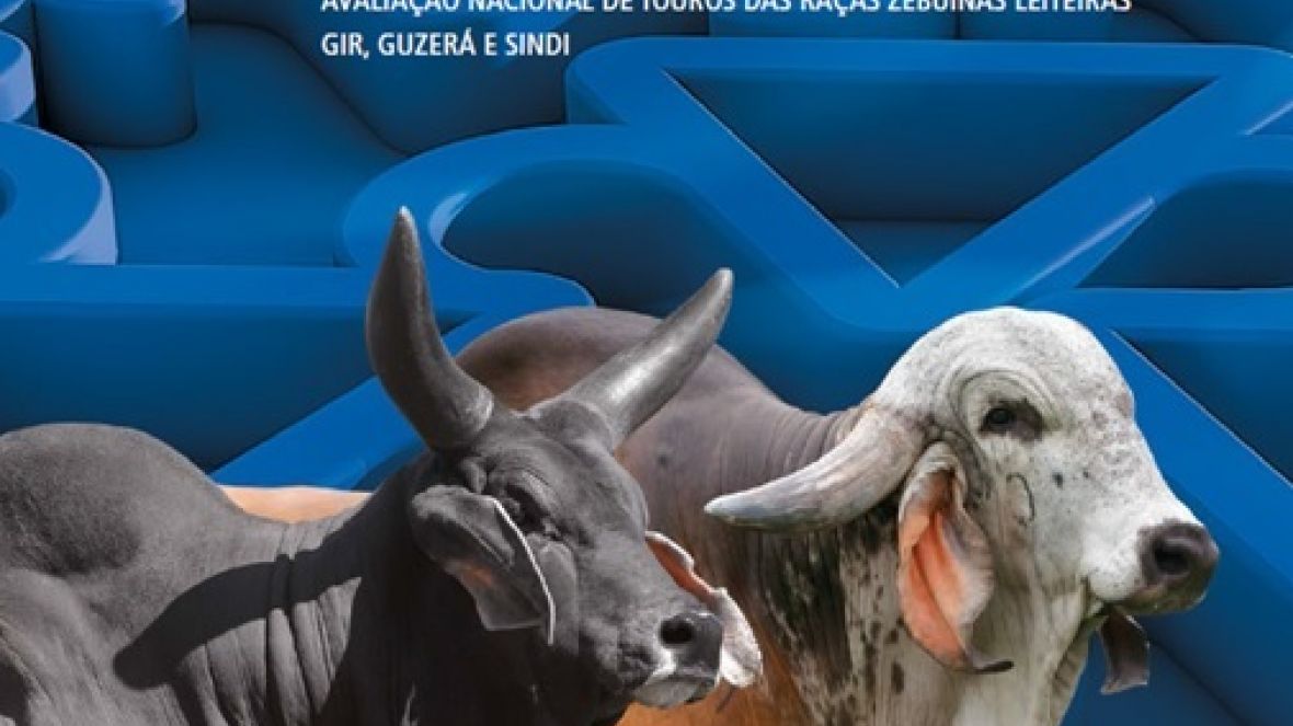 Sumário lançado na ExpoZebu já está disponível para consulta na internet