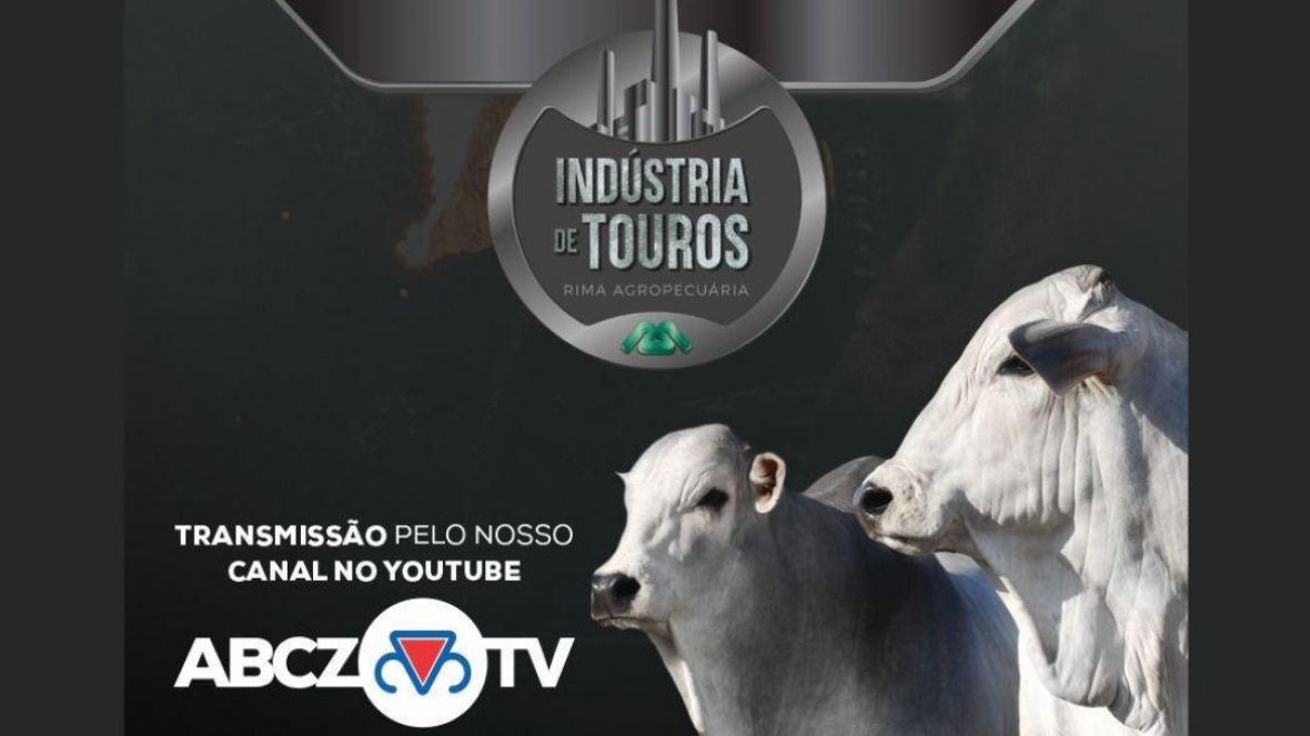 Leilão Indústria de Touros Rima será realizado neste domingo com transmissão pela ABCZ TV 