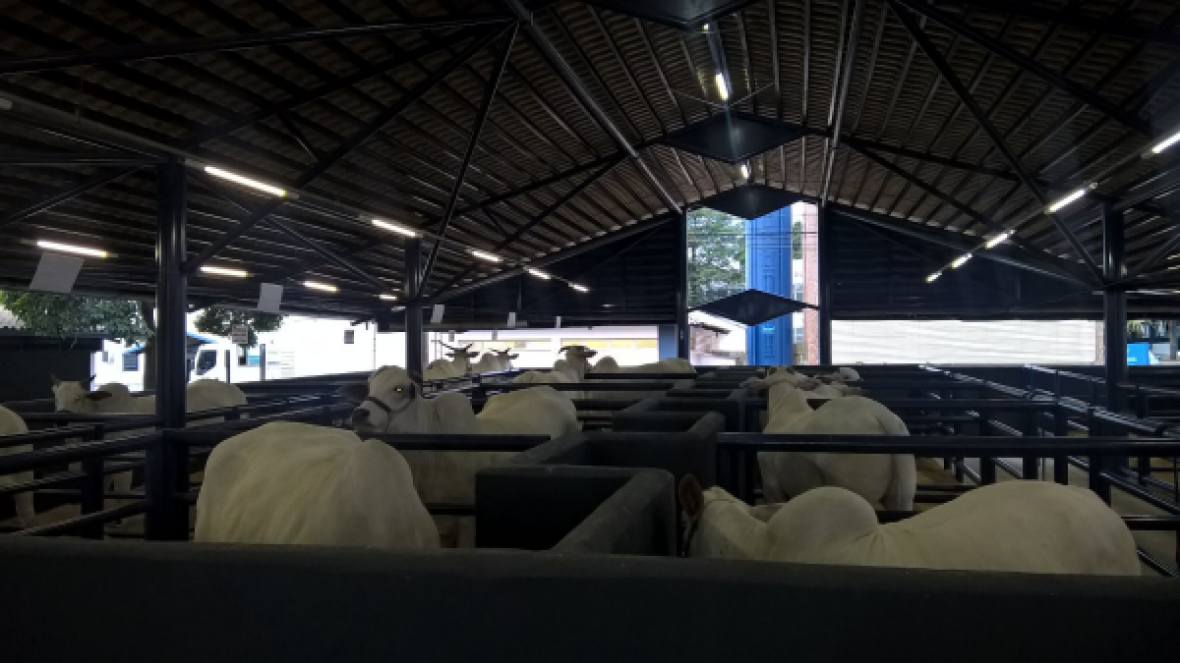 ABCZ investe em obras e projetos de melhorias    