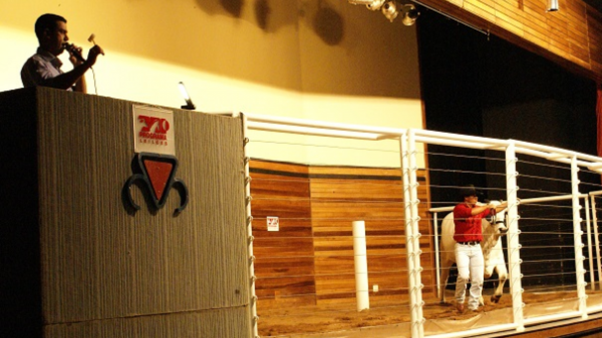 ABCZ promove II Curso para Leiloeiros Rurais na ExpoZebu