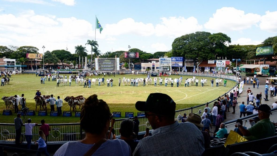 89ª ExpoZebu: prazo para inscrições com desconto e direito à escolha do pavilhão é 29 de fevereiro