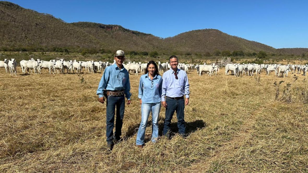 PMGZ Comercial mais forte no Mato Grosso do Sul