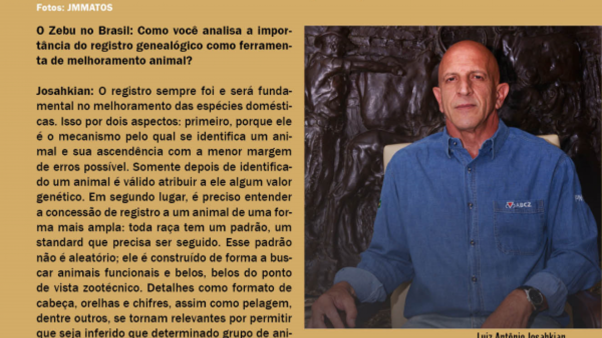 Revista O Zebu no Brasil entrevista Luiz Josahkian sobre melhoramento genético e registro 