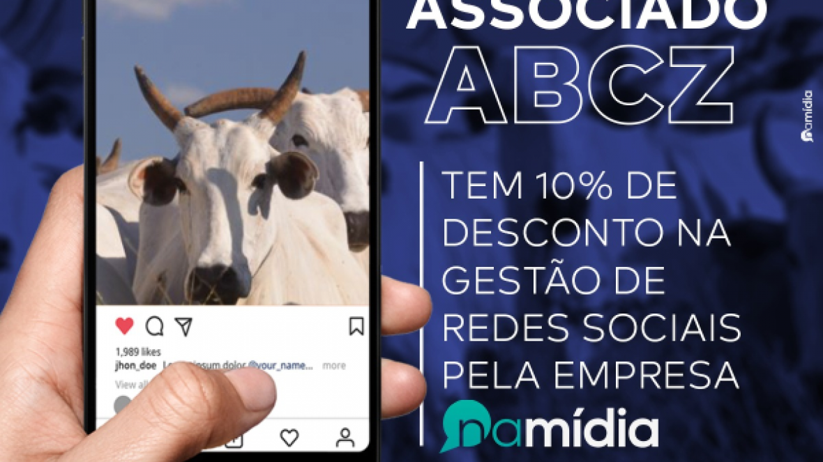 Bolsa de mercadorias: associado ABCZ poderá contratar gestão de redes sociais com desconto