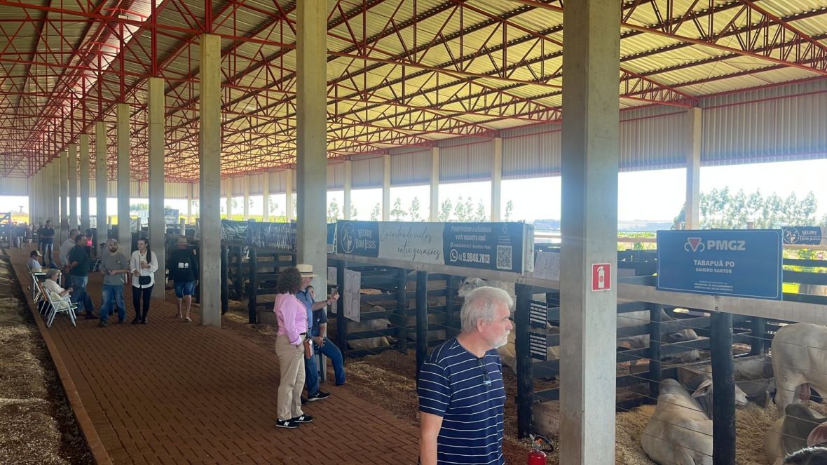 Melhoramento genético das raças zebuínas é destaque no Show Rural Coopavel, em Cascavel (PR)