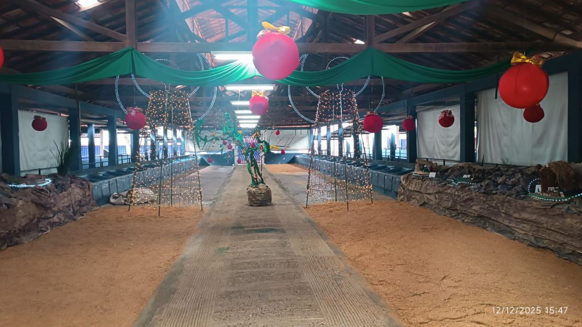 Natal no Parque recebe exposição de presépios